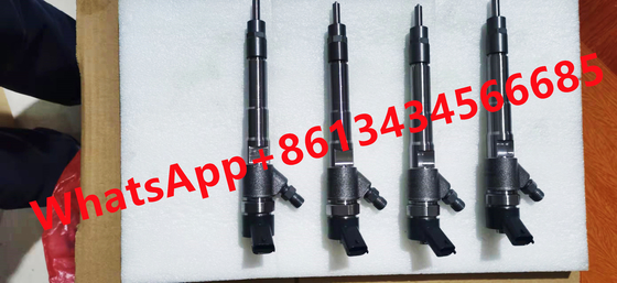0445110247 Common Rail Fuel Diesel Injector For  504088823 0445110248