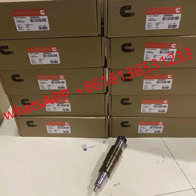 2029622 Genuine Diesel Common Rail Fuel Injector 1948565 2030519 2031836 2031835 2086663