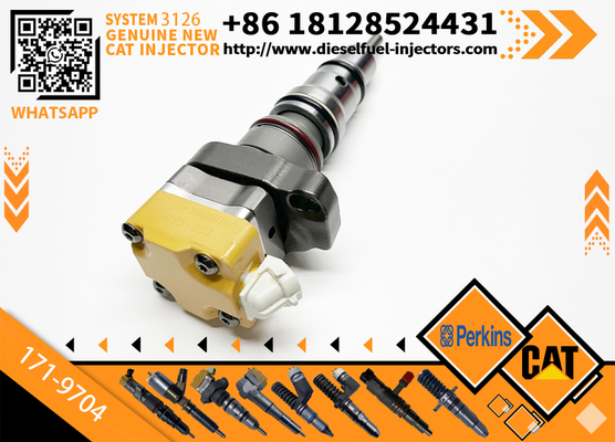 178-6432 128-6601 171-9704 171-9710 Common Rail Fuel Injector Cater 3512C 3516C Diesel Engine Parts Rail Injector 10R-9348