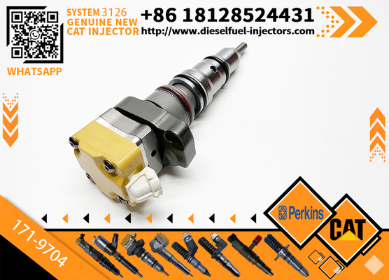 178-6432 128-6601 171-9704 171-9710 Common Rail Fuel Injector Cater 3512C 3516C Diesel Engine Parts Rail Injector 10R-9348