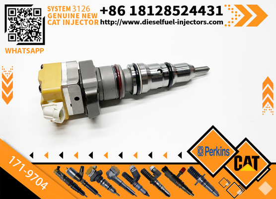 178-6432 128-6601 171-9704 171-9710 Common Rail Fuel Injector Cater 3512C 3516C Diesel Engine Parts Rail Injector 10R-9348