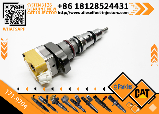 178-6432 128-6601 171-9704 171-9710 Common Rail Fuel Injector Cater 3512C 3516C Diesel Engine Parts Rail Injector 10R-9348