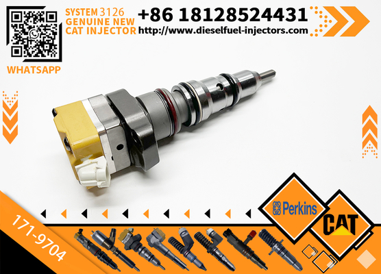 178-6432 128-6601 171-9704 171-9710 Common Rail Fuel Injector Cater 3512C 3516C Diesel Engine Parts Rail Injector 10R-9348