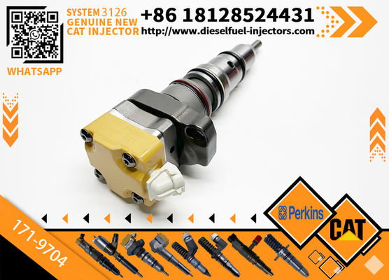 178-6432 128-6601 171-9704 171-9710 Common Rail Fuel Injector Cater 3512C 3516C Diesel Engine Parts Rail Injector 10R-9348