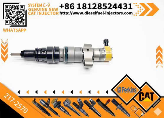 CAT C7 C9 Fuel Injector 217-2570 235-2888 2352888 387-9433 3879433 293-4071 387-9427 3879427 263-8218 2638218 For Caterpillar