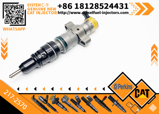 CAT C7 C9 Fuel Injector 217-2570 235-2888 2352888 387-9433 3879433 293-4071 387-9427 3879427 263-8218 2638218 For Caterpillar