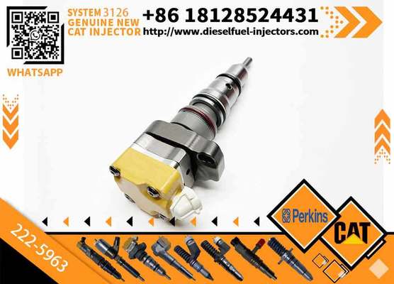 Excavator Parts 3126 Engine Injector 111-7916 177-4753 138-8756 222-5963 222-5972fuel Injector for Excavator