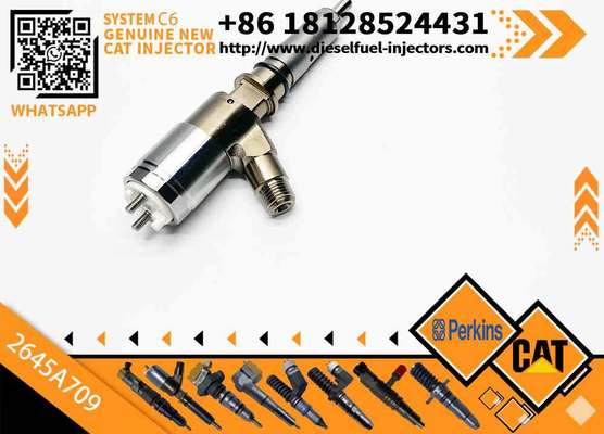 Excavator Parts C6 Engine Injector 320-0680 2645A709 295-9130 382-0480 282-0490 Fuel Injector for Excavator