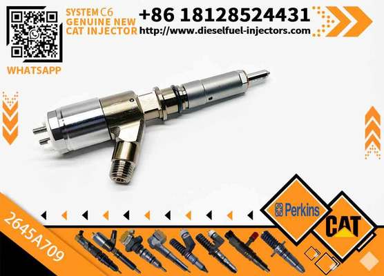 Excavator Parts C6 Engine Injector 320-0680 2645A709 295-9130 382-0480 282-0490 Fuel Injector for Excavator