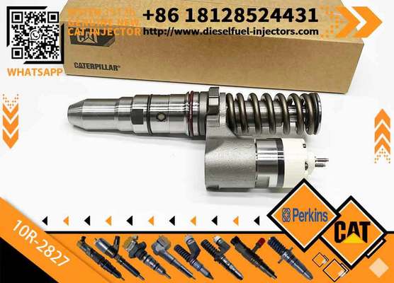 New Common Rail Injector 10R-2827 20R3483 20R-3247 389-1969 379-0509 386-1771 10R-3255 for diesel Engine CAT