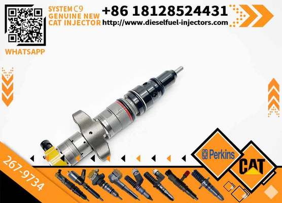 Diesel Engine Fuel Injector Excavator Accessories Diesel Motor Parts 5577634 387-9434 267-9734 293-4071 557-7633 for Caterpillar