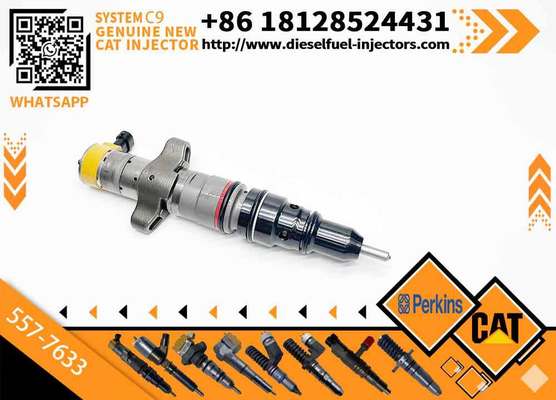 20r-8064 20r8064 20r-8968 20r8968 5577633 557-7633 3879433 387-9433 Fuel Injector 330d 336d D6R C9 Engine for Caterpillar