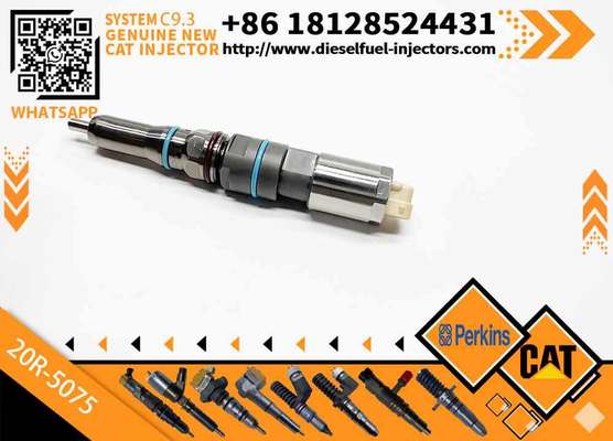 Excavator Parts CAT E 336E C9.3 Engine Injector 20R-5075 456-3493 456-3509 20R5075 4563493 4563509