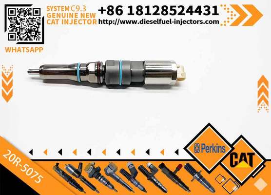 Excavator Parts CAT E 336E C9.3 Engine Injector 20R-5075 456-3493 456-3509 20R5075 4563493 4563509