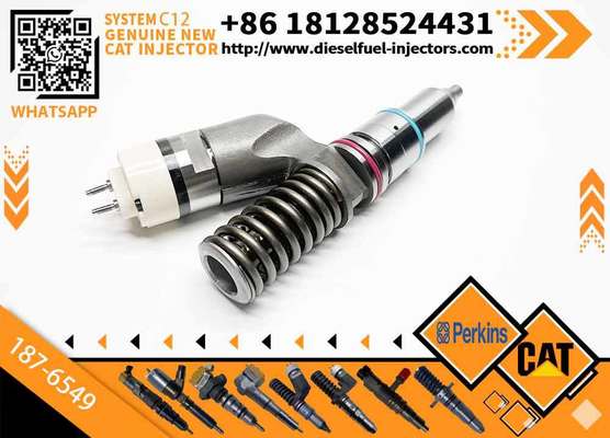 Cat Injector C12 C10 Injector 170-5252 350-7555 203-7685 20r-0056 10r-0967 for 187-6549 345B Excavator Spare Parts