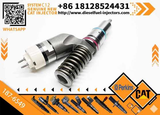 Cat Injector C12 C10 Injector 170-5252 350-7555 203-7685 20r-0056 10r-0967 for 187-6549 345B Excavator Spare Parts