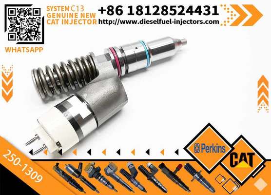 Excavator Inyectores Common Rail Diesel Fuel Injector 2501309 250-1309 10R3258 10R-3258 for Cat-erpillar Cat C13