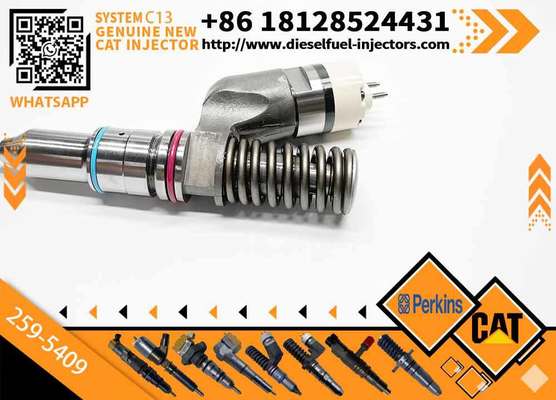 Factory direct C13 engine common rail fuel injector 294-3002 10R-6162 253-0608 259-5409 Caterpillar C13 injector
