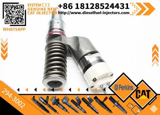 C13 C11 Fuel Injector 249-0713 294-3002 349-0705 249-0708 for 345C 345D Excavator Parts 10R3262 10R2977 10R7636 10R6162