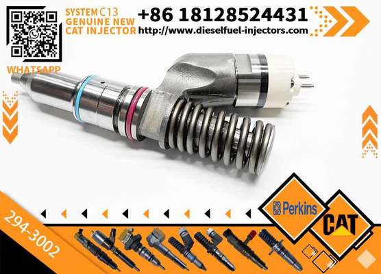 C13 C11 Fuel Injector 249-0713 294-3002 349-0705 249-0708 for 345C 345D Excavator Parts 10R3262 10R2977 10R7636 10R6162