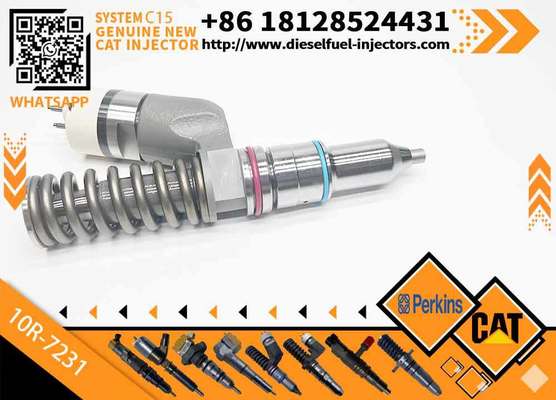 Diesel Fuel Injector 276-8307 10R-7231 230-3775 for Cat-erpillar C18/C32 Common Rail Injection Valves