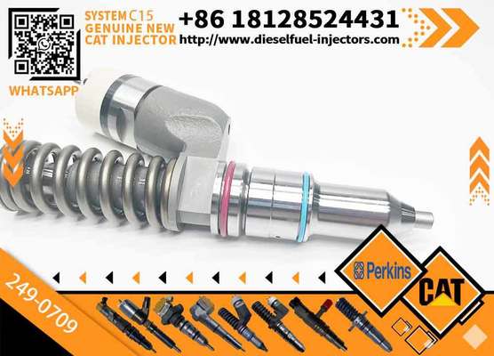 Fuel Injector 10R-1273 10R1273 10R-9236 249-0709 10R-8501 10R8501 10R1273 10R9236 239-4909 for Caterpillar Cat C15 C16 C18 3406E