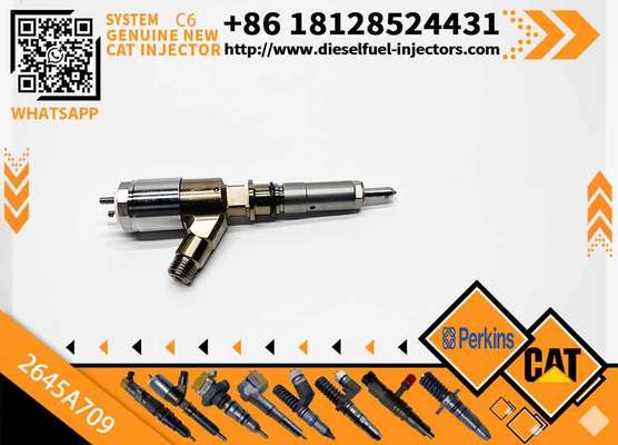 Common Rail Fuel Injector 282-0490 2645A709 2820490 for 320D C6.4 C6.6 Engine Excavator Parts Injector