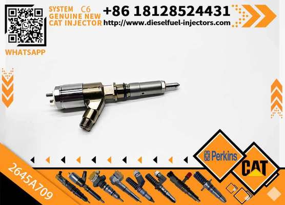 Common Rail Fuel Injector 282-0490 2645A709 2820490 for 320D C6.4 C6.6 Engine Excavator Parts Injector