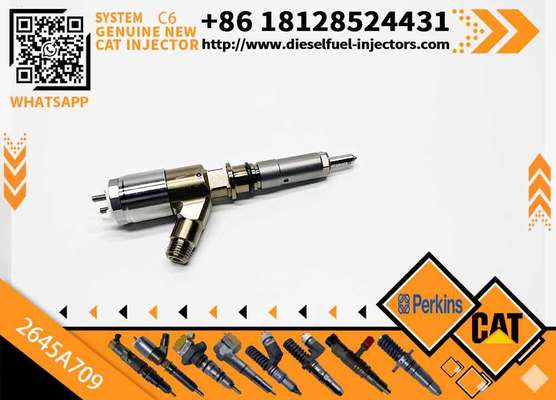 Common Rail Fuel Injector 282-0490 2645A709 2820490 for 320D C6.4 C6.6 Engine Excavator Parts Injector