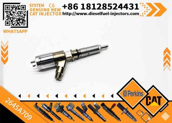 Common Rail Fuel Injector 282-0490 2645A709 2820490 for 320D C6.4 C6.6 Engine Excavator Parts Injector