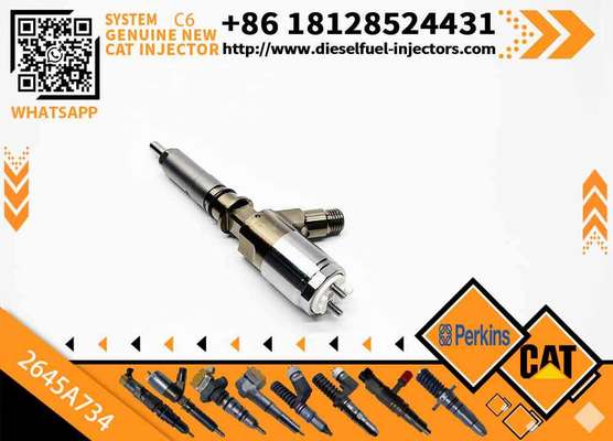 306-9380 10R-7672 2645A734 382-0480 Common Rail Fuel Injector for C6.6 C4.4 C3.4 Engine Fuel Injector 3820480 3069380