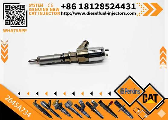 306-9380 10R-7672 2645A734 382-0480 Common Rail Fuel Injector for C6.6 C4.4 C3.4 Engine Fuel Injector 3820480 3069380