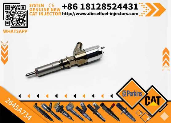 306-9380 10R-7672 2645A734 382-0480 Common Rail Fuel Injector for C6.6 C4.4 C3.4 Engine Fuel Injector 3820480 3069380