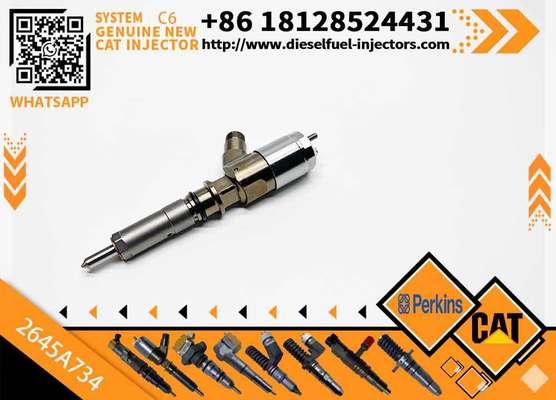 306-9380 10R-7672 2645A734 382-0480 Common Rail Fuel Injector for C6.6 C4.4 C3.4 Engine Fuel Injector 3820480 3069380
