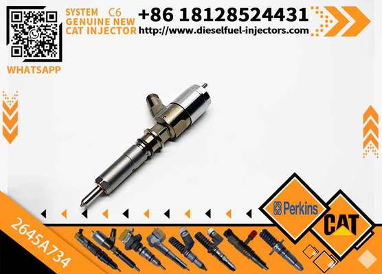 306-9380 10R-7672 2645A734 382-0480 Common Rail Fuel Injector for C6.6 C4.4 C3.4 Engine Fuel Injector 3820480 3069380