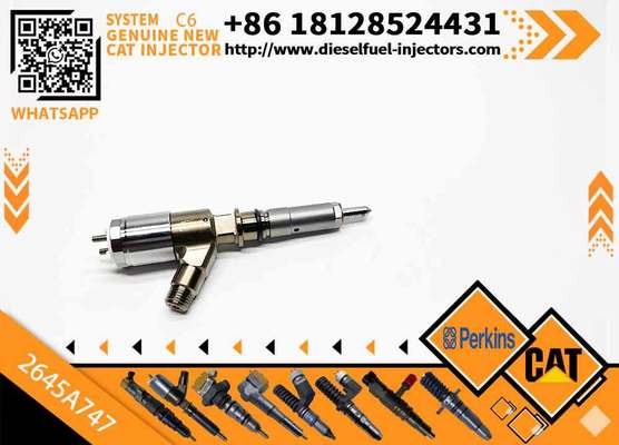 2645A747 320-0680 2645A749 320-0690 New Customizable C6.6 Engine for Caterpillar