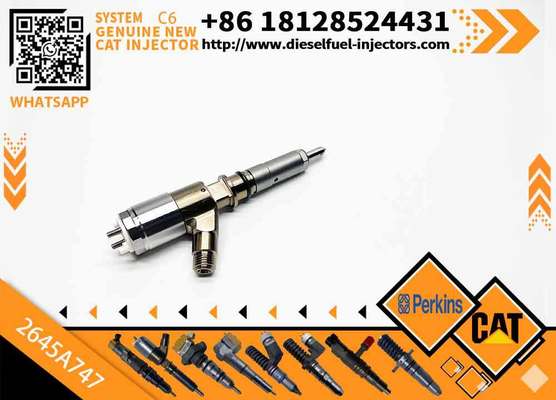 2645A747 320-0680 2645A749 320-0690 New Customizable C6.6 Engine for Caterpillar