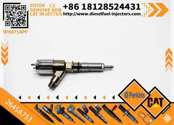 2645A751 2645A753 New Customizable C6.6 Engine for Caterpillar