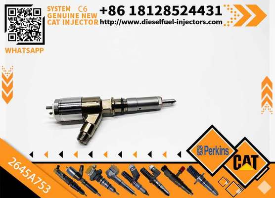 2645A751 2645A753 New Customizable C6.6 Engine for Caterpillar