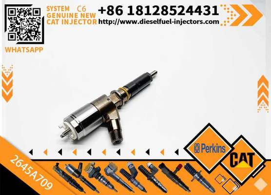 Fuel Injector 282-0490 2645A709 2820490 2645A709 for C-AT C6.6 Engine