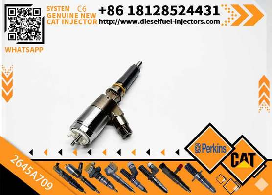 Fuel Injector 282-0490 2645A709 2820490 2645A709 for C-AT C6.6 Engine