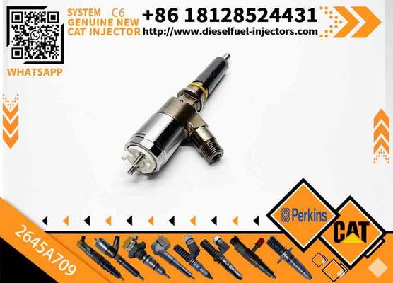 Fuel Injector 282-0490 2645A709 2820490 2645A709 for C-AT C6.6 Engine