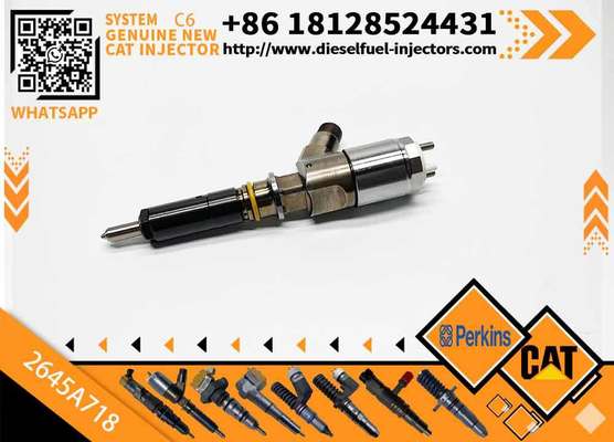Diesel Fuel Injector 292-3780 Common Rail Injector 2645A718 For CAT C6.6 Engine