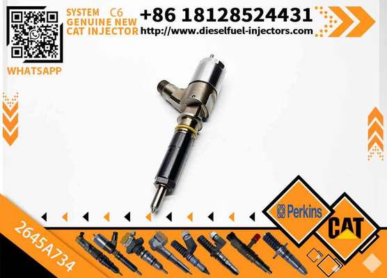 Fuel Injector 2645A718 2645A734 2645A747 for Perkins Engine 1104D-E44TA Caterpillar C4.4 C6.6 Engine M313D M315D M318D M322D