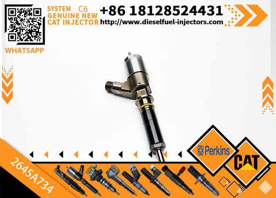 Fuel Injector 2645A718 2645A734 2645A747 for Perkins Engine 1104D-E44TA Caterpillar C4.4 C6.6 Engine M313D M315D M318D M322D