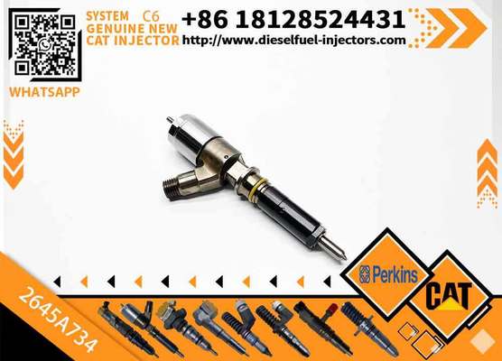 Fuel Injector 2645A718 2645A734 2645A747 for Perkins Engine 1104D-E44TA Caterpillar C4.4 C6.6 Engine M313D M315D M318D M322D