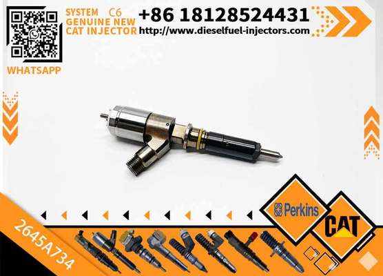 Fuel Injector 2645A718 2645A734 2645A747 for Perkins Engine 1104D-E44TA Caterpillar C4.4 C6.6 Engine M313D M315D M318D M322D