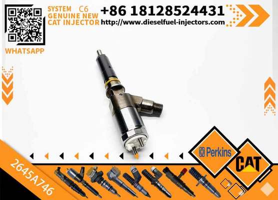 Fuel Injector Assembly C6.4 C6.6 2645A749 2645A744 2645A753 2645A746 2645A747