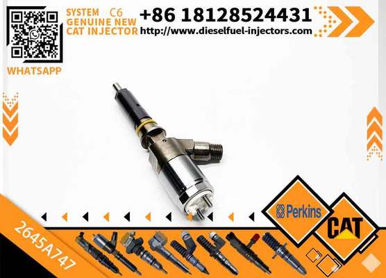 Excavator Parts C6.6 C4.4 Fuel Injector 320-0680 2645A747 Nozzle Injector 3200680 Construction Machinery Parts for 320D E320D