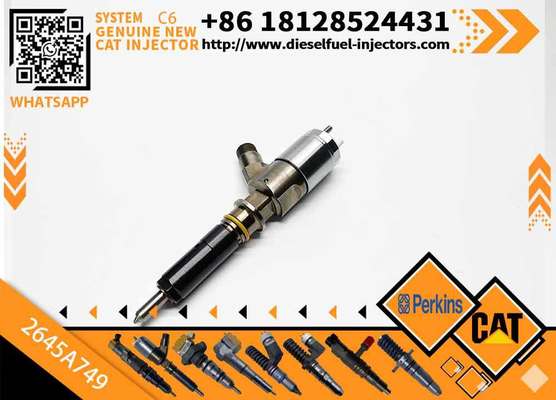 Fuel Injector Assembly C6.4 C6.6 2645A749 2645A744 2645A753 2645A746 2645A747